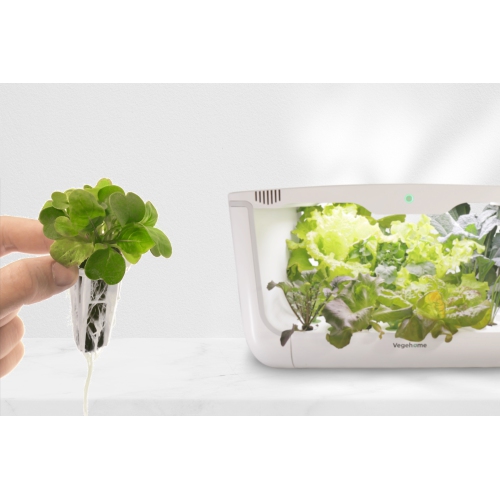 Vegehome Oasis Hydroponic Indoor Garden with 8 Pods Starter Kit