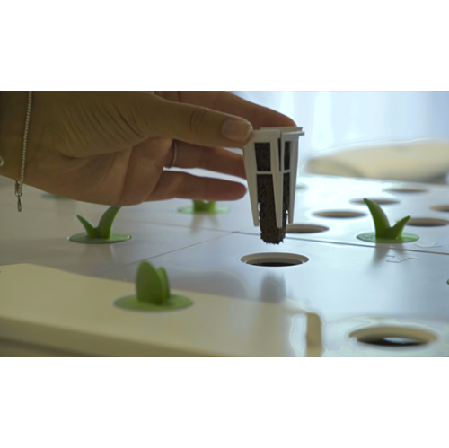 Vegehome Oasis Hydroponic Indoor Garden with 8 Pods Starter Kit