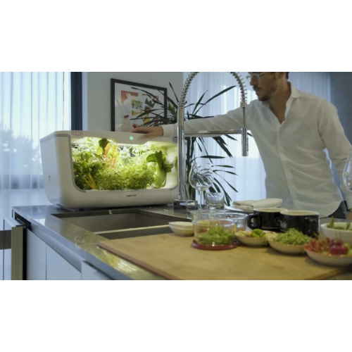 Vegehome Oasis Hydroponic Indoor Garden with 8 Pods Starter Kit