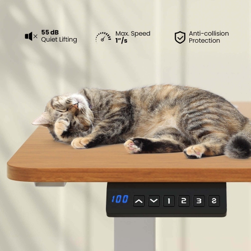 Costway 55" x 24" Electric Standing Desk with 3 Memory Height Settings 2 Hanging Hooks