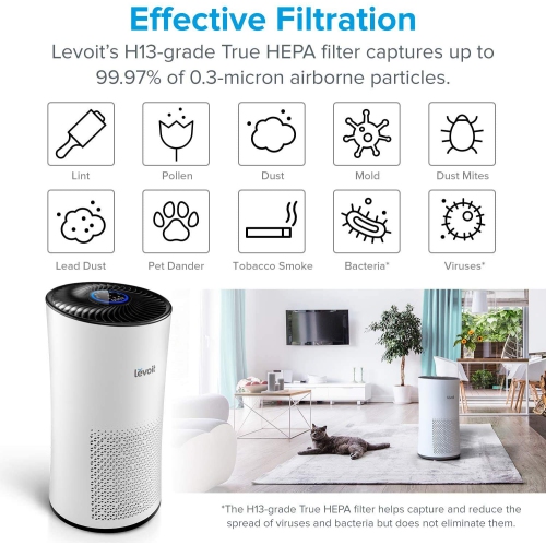 Levoit LV-H133 Air Purifier Replacement Filter, H13 True HEPA and Activated Carbon Filters Set, LV-H133-RF, White, Large