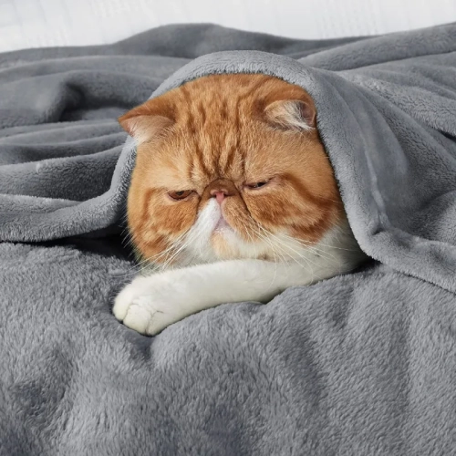 Cozy Grey Fleece Throw Blanket - Soft, Lightweight & Plush 50x60 Inches for Couch & Sofa