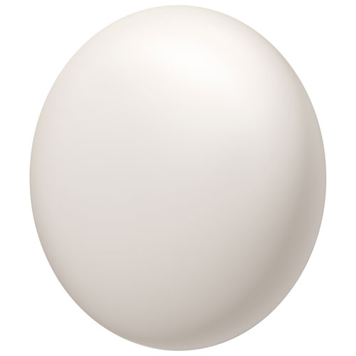 Capteur de température Nest de Google - Porcelaine