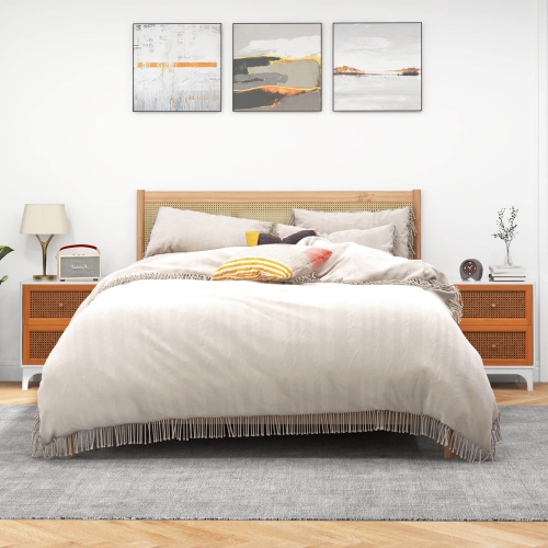 Costway 1 PCS Rattan Nightstand with Storage Wood End Sofa Side Table with 2 drawers Wood Legs