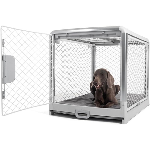 Diggs Revol Dog Crate Collapsible Dog Crate Portable Dog Crate Travel Dog Crate Dog Kennel for Large Dogs and Puppies Ash Best Buy Canada