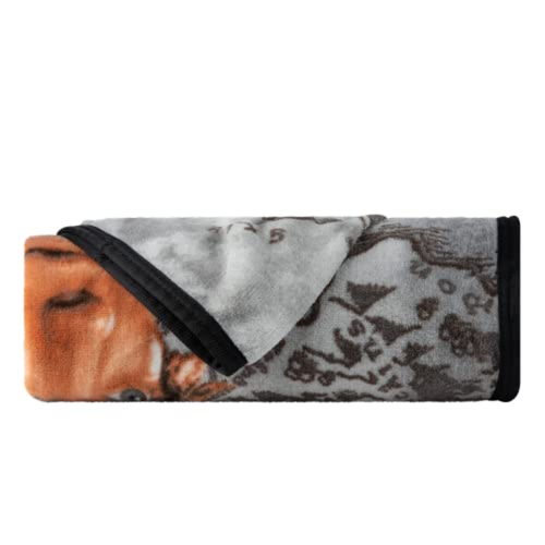 The Lord of The Rings" Supersoft Lightweight Micro Raschel Throw Blanket