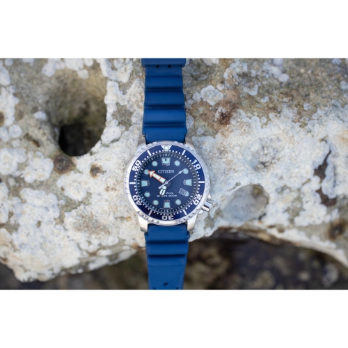 Montre pour hommes Promaster Dive Eco-Drive 44 mm boîtier inox argenté de Citizen avec cadran bleu