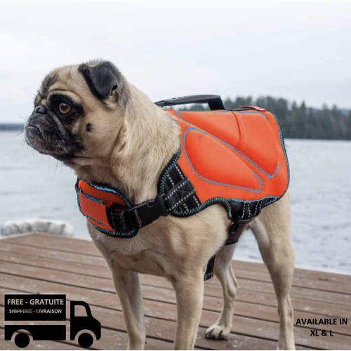 VESTE DE SAUVETAGE POUR CHIEN STIMULA LIFESTYLE SILVER PAW POUR PISCINE, LAC, OCÉAN, RIVIÈRE ET PLAGE CANINE CERTIFIED TAILLE RÉGLABLE TRÈS GRAND