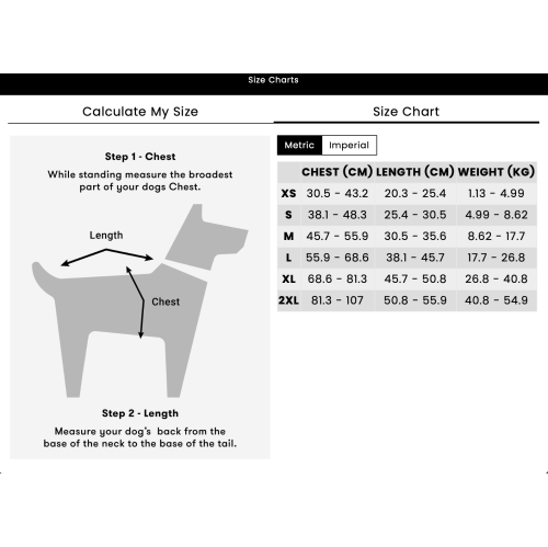 VESTE DE SAUVETAGE POUR CHIEN STIMULA LIFESTYLE SILVER PAW POUR PISCINE, LAC, OCÉAN, RIVIÈRE ET PLAGE CANINE CERTIFIED TAILLE RÉGLABLE TRÈS GRAND