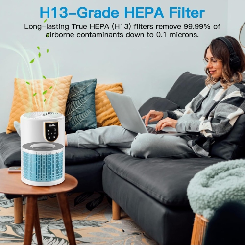 Aircillin Air Purifier AP0801 Replacement Filters 2-Pack, H13 True HEPA Filter, Activated Carbon Filter(AP0801)