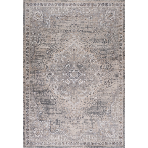 RUG BRANCH  Rawda Traditional Oriental Grey/beige Indoor Area Rug