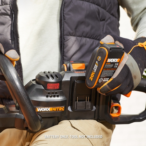 Worx WA3669.2 20V Power Share Batteries