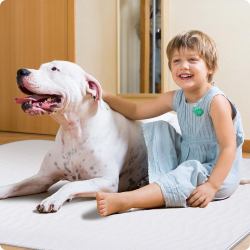 Canadian Linen Reusable Bed Pads, 30"x34", 4 Pack Waterproof Washable Quick Dry Absorbent Breathable Non Slip Incontinence Pee Pads Mattress Protector