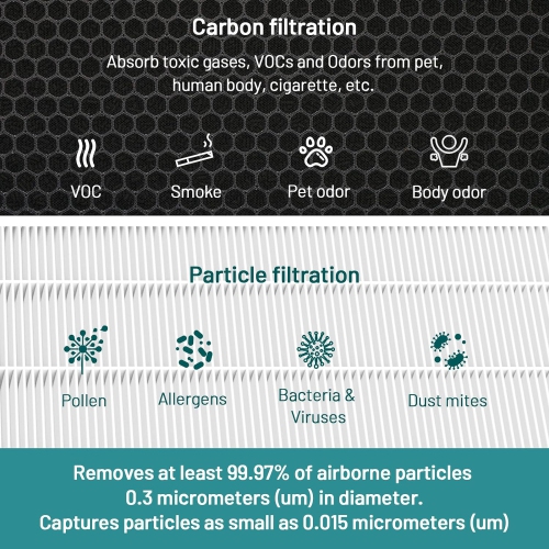Jafända JF888 2 Pack Replacement Filter, H13 True HEPA Filter, with 2.12 lb Act. Carbon, Pollen Dust Pet Odor VOCs Allergies Smoke, Households with