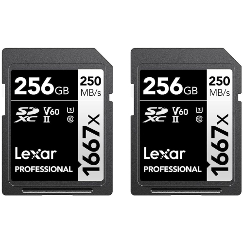 Lexar Professional 1667x 256GB SDXC UHS-II Cards, Up to 250MB/s Read, for Professional Photographer, Videographer, Enthusiast (LSD1667256G-B2NNU)