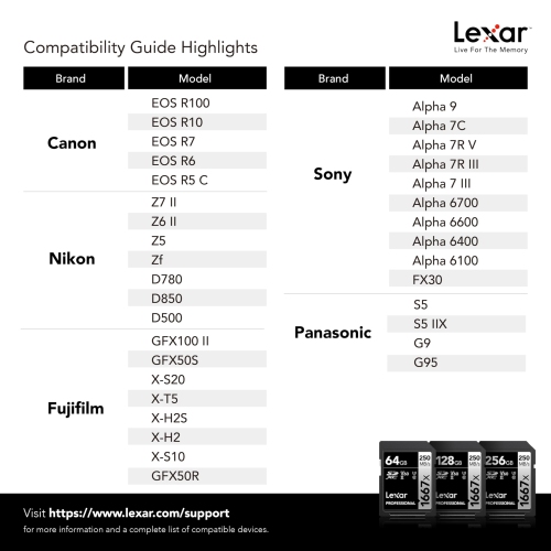 Lexar Professional 1667x 256GB SDXC UHS-II Cards, Up to 250MB/s Read, for Professional Photographer, Videographer, Enthusiast (LSD1667256G-B2NNU)