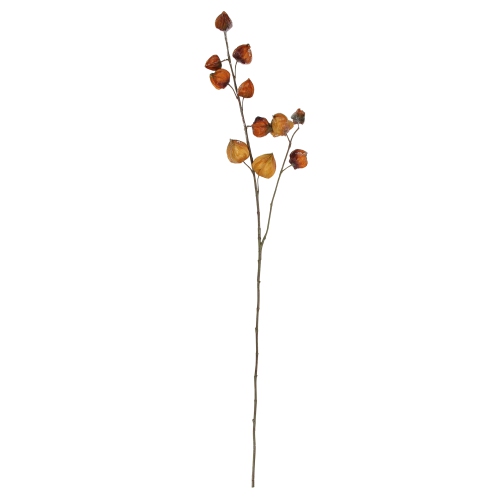 ALLSTATE  Frosted Chinese Lantern Artificial Fall Spray - 36" - In Brown