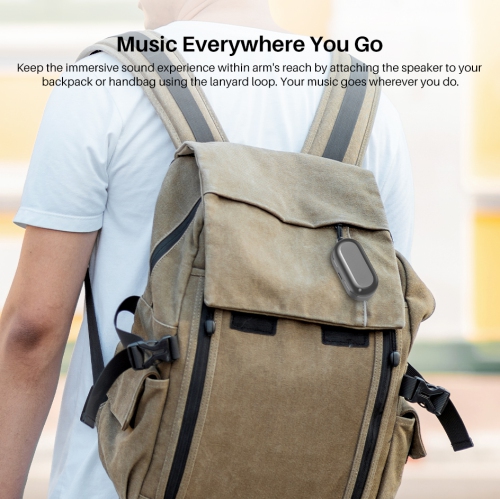 TOZO T10 mini Earbuds Support APP Customize 16 EQ In-Ear Noise Cancelling True Wireless-Gray