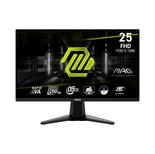 Moniteur de jeu FHD 1920 x 1080 Rapid VA 250&nbsp;Hz Adaptive Sync 2 x HDMI 2.0b 1 x DisplayPort 25 1,4 de MSI