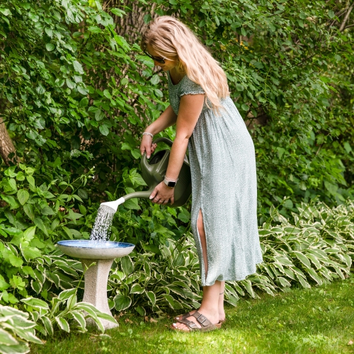 Sunnydaze Nantes Lava Finish Bird Bath - White Distressed Ceramic