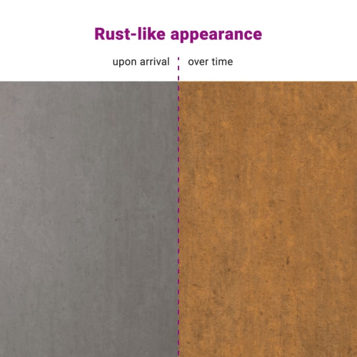 Décoration murale de jardin vidaXL 55 x55 cm Corten en acier design solaire