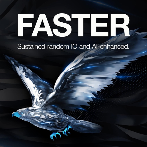 Seagate Skyhawk 6TB Video Internal Hard Drive HDD – 3.5 Inch SATA 6Gb/s 256MB Cache for DVR NVR Security Camera System with in-House Rescue Services