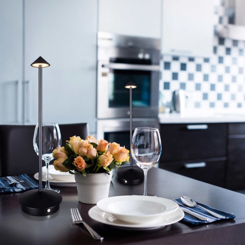 OttLite Rechargeable Indoor/Outdoor Light - Pack of 2