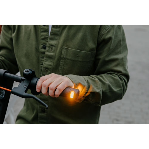Remis à neuf (état correct) - Trottinette électrique pour adultes Ninebot F2 Plus de Segway (moteur de 800 W/autonomie de 55 km/vitesse maximale de 29 km/h)