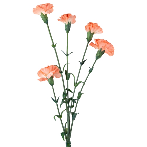 Mini Carnation Artificial Floral Spray - 27.5" - Peach