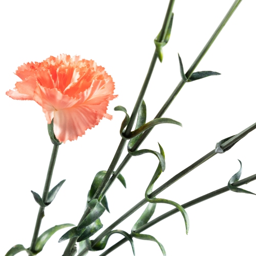 Mini Carnation Artificial Floral Spray - 27.5" - Peach