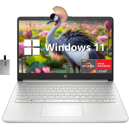 HP 14" FHD Laptop, IPS Display, AMD Ryzen 3-3250U, 2TB PCIe SSD, 32GB RAM, AMD Radeon Graphics, HP True Vision HD Camera, Wi-Fi 5, Bluetooth, Win 11,