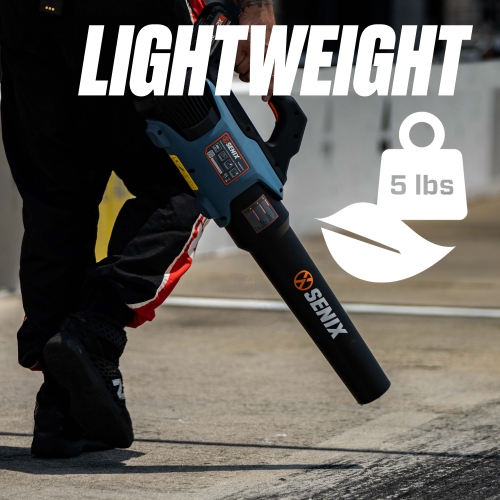 SENIX X2 20V Max* Handheld Cordless Leaf Blower, Up to 350 CFM and 80 MPH, Variable Speed, Cruise Control, Lightweight, Includes 4.0 Ah Battery and 2