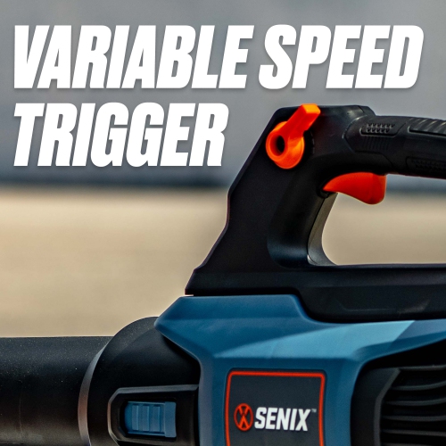 SENIX X2 20V Max* Handheld Cordless Leaf Blower, Up to 350 CFM and 80 MPH, Variable Speed, Cruise Control, Lightweight, Includes 4.0 Ah Battery and 2