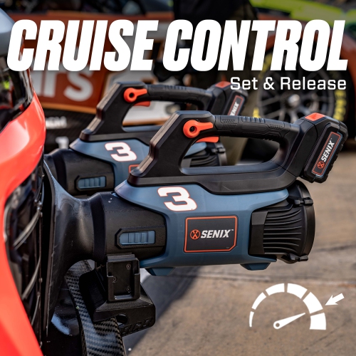 SENIX X2 20V Max* Handheld Cordless Leaf Blower, Up to 350 CFM and 80 MPH, Variable Speed, Cruise Control, Lightweight, Includes 4.0 Ah Battery and 2