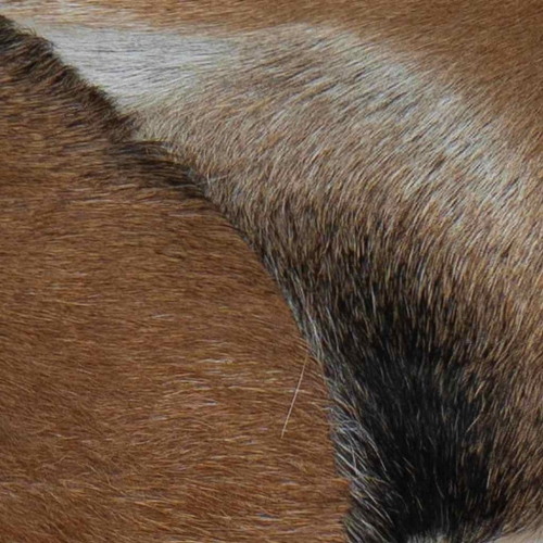 Banc en cuir de chèvre vidaXL