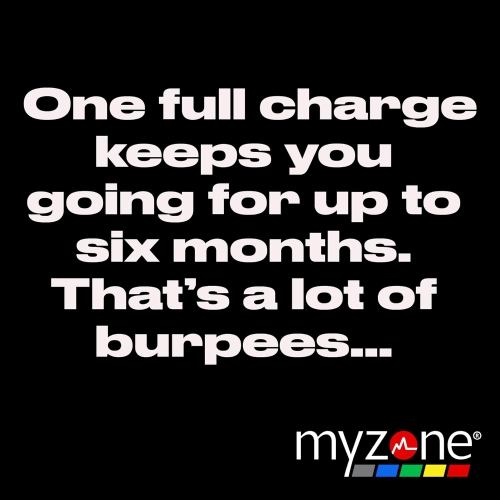 Câble de chargement MZ-Switch