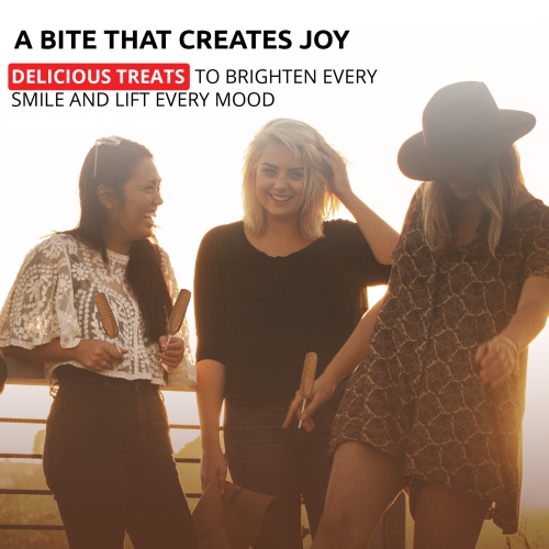 AP-529 Hot Dog Waffle Maker Commercial | Corn Dog Waffle Maker | 6 PCS | Hotdog Waffles on a Stick | Stainless Steel | 110V