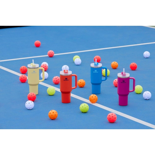 Stanley Quencher H2.0 FlowState Stainless Steel Vacuum Insulated Tumbler with Lid and Straw for Water, Iced Tea or Coffee, Smoothie and More,