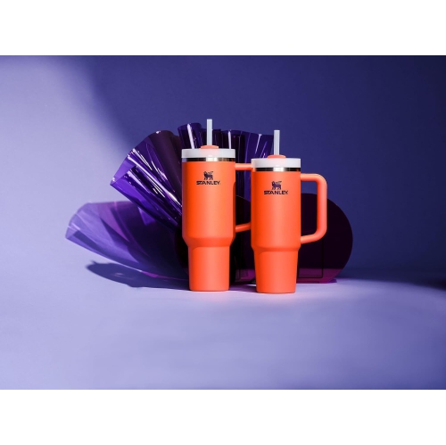 Stanley Quencher H2.0 FlowState Stainless Steel Vacuum Insulated Tumbler with Lid and Straw for Water, Iced Tea or Coffee, Smoothie and More,