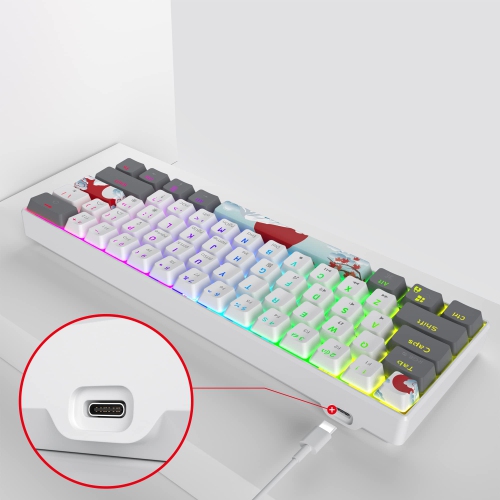 RGB Mechanical Keyboard 60 Percent Red Switches, Ultra-Compact Mini Wired Gaming Keybaord with Backlit PBT Dye-Sub Keycaps for Win/Mac/PC
