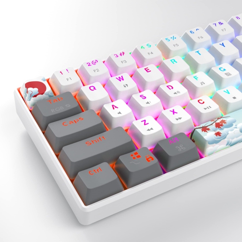 RGB Mechanical Keyboard 60 Percent Red Switches, Ultra-Compact Mini Wired Gaming Keybaord with Backlit PBT Dye-Sub Keycaps for Win/Mac/PC
