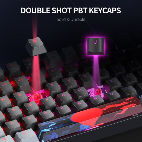 75% Percent Gaming Keyboard Mechanical with Red Switch, 87 Keys Wired RGB TKL Gaming Keyboard Backlit Keys for PC Xbox PS