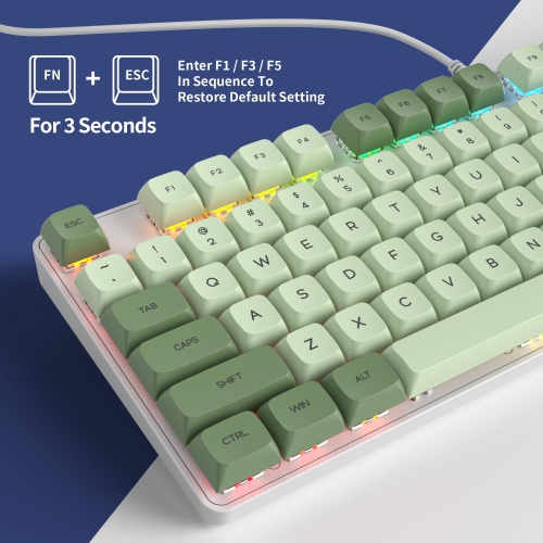 Owpkeenthy Full Size Green Mechanical Gaming Keyboard with Number Pad, Wired 100% Office NKRO Keyboard RGB Backlit 104 Keys with Red Switch for PC