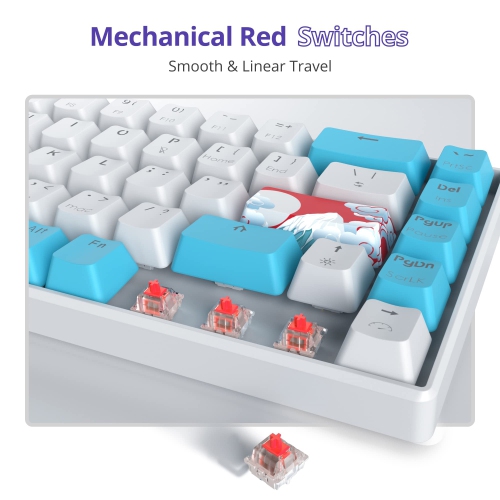 Portable 60% Mechanical Gaming Keyboard, Ultra Compact RGB Wired 65 Percent Mini Office Keyboard Backlit with Red Switch for PC/PS5/XBOX(Blue/ 68 Red