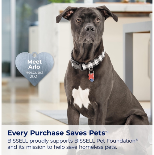 BISSELL® Little Green® Cordless Multi-Purpose Portable Deep Carpet and Upholstery Cleaner, 3682B