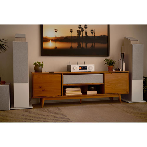 Haut-parleur d'extrêmes graves 12 po 250 W Stage220P de JBL - Café au lait