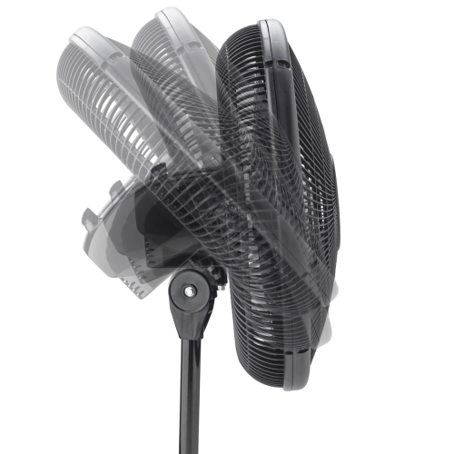 Lasko Oscillating Stand Fan 40.6 cm, 2-pack