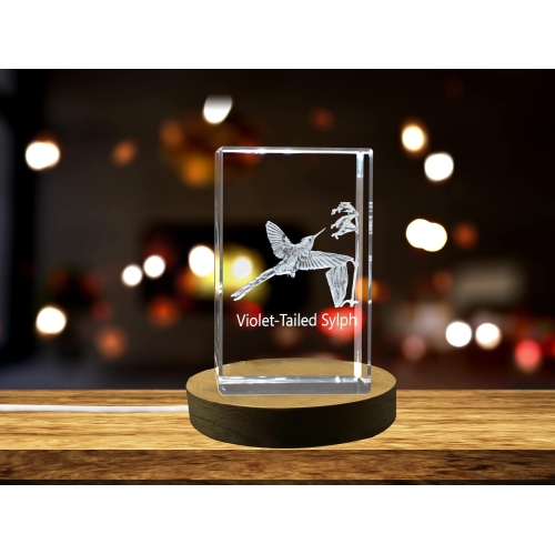 Image 1 of 6.. Violet-Tailed Sylph 3D Engraved Crystal Keepsake/Gift/Decor/Collectible/Souvenir