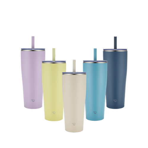 Bouteille en acier inoxydable SX-HA89H-VM de Zojirushi avec paille de 30 oz, violet mauve