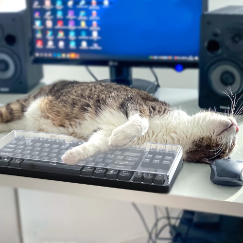 Tenkeyless TKL Keyboard Dust Cover, Clear Acrylic Keypads Cover for 80% Compact 87 Key Computer Mechanical Gaming Keyboard, Compatible with Logitech